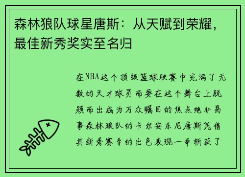 森林狼队球星唐斯：从天赋到荣耀，最佳新秀奖实至名归